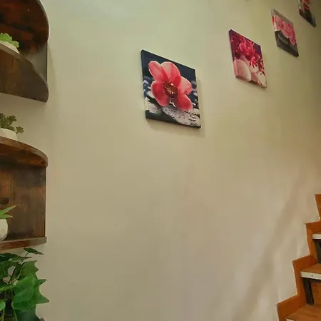 Nicehouse Holiday home Catania