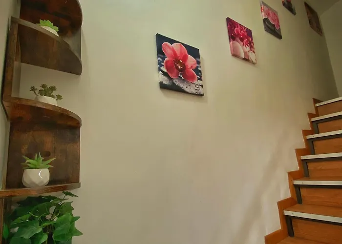 Nicehouse Casa vacanze Catania